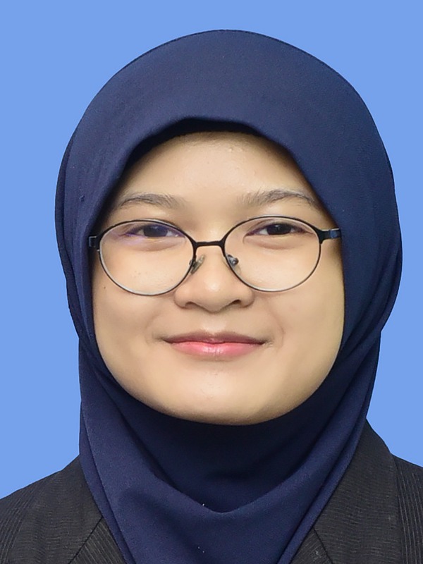 Engku Mohd Hafiz, Engku Aida Sofea