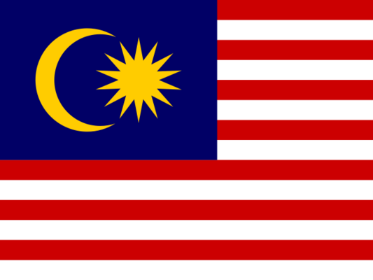 MAS